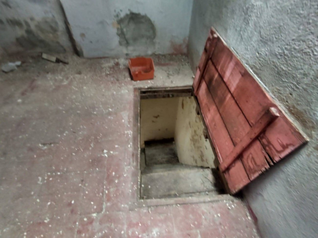 terratetto in vendita a Seravezza