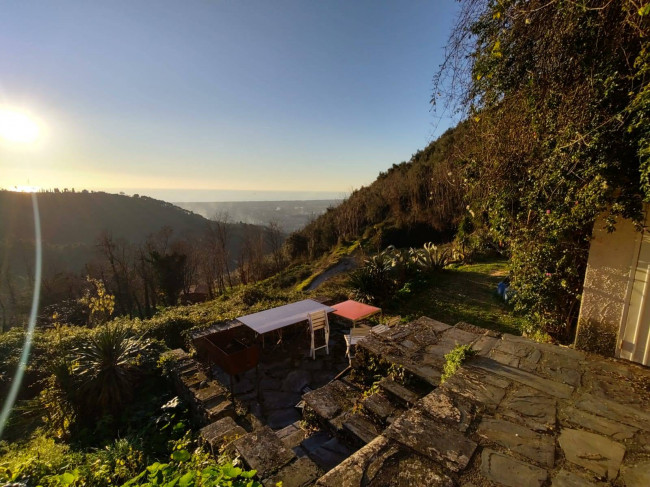 terratetto in vendita a Pietrasanta