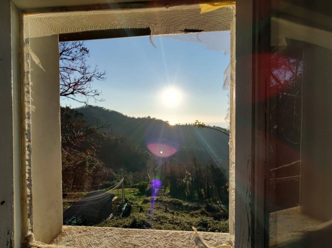 terratetto in vendita a Pietrasanta