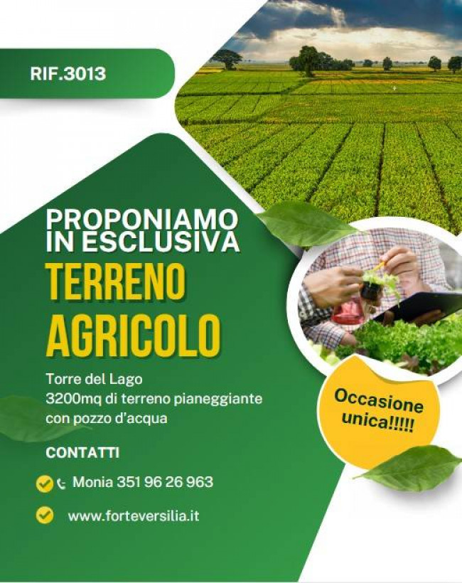 Terreno Agricolo in vendita a Viareggio