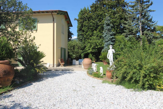 villa indipendente in affitto stagionale a Forte dei Marmi