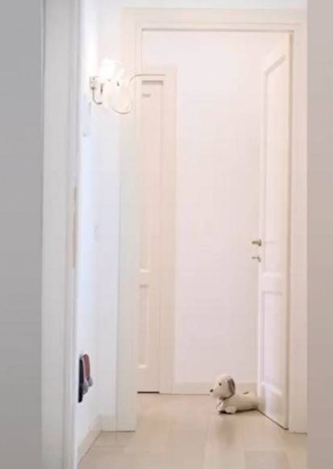 villa indipendente in vendita a Forte dei Marmi