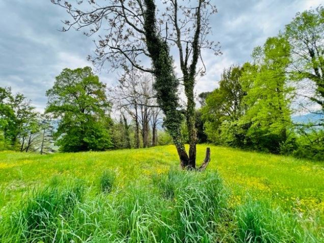 Villa in vendita a Lucca