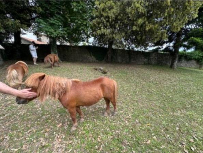 Villa in vendita a Castiglione di Garfagnana