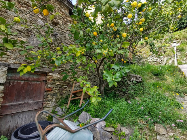 Casetta Semindipendente in vendita a Pietrasanta