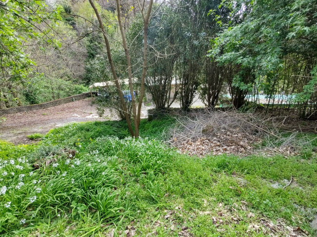 Casetta Semindipendente in vendita a Pietrasanta