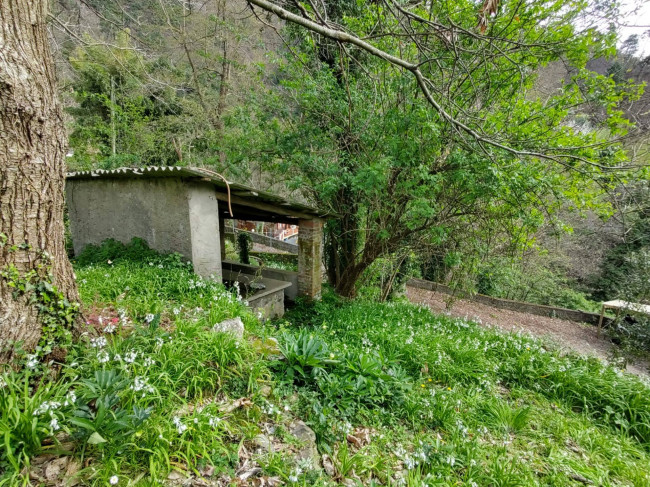 Casetta Semindipendente in vendita a Pietrasanta