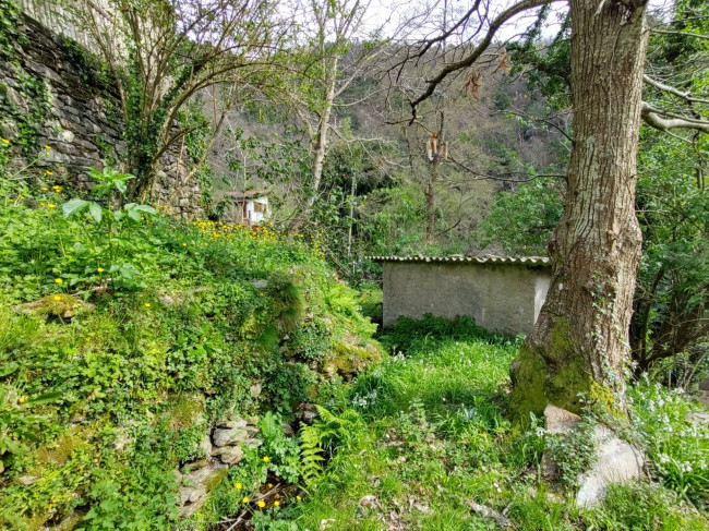 Casetta Semindipendente in vendita a Pietrasanta