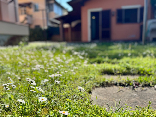 villa for sale in Pietrasanta