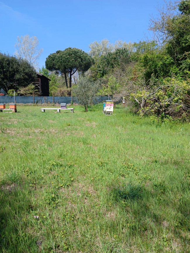 Terreno Agricolo in vendita a Montignoso