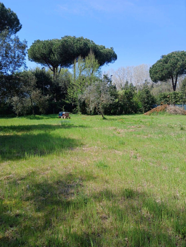 Terreno Agricolo in vendita a Montignoso