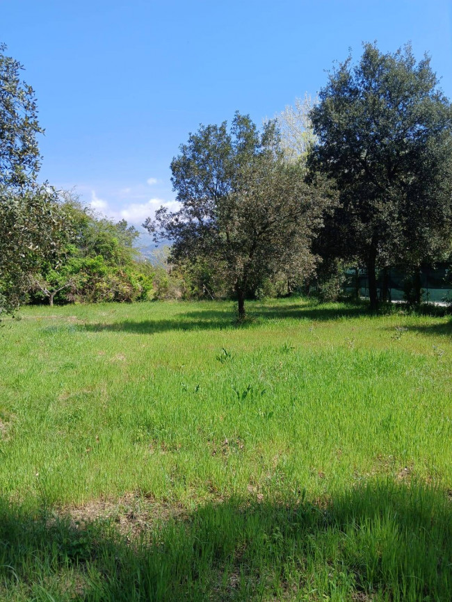 Terreno Agricolo in vendita a Montignoso