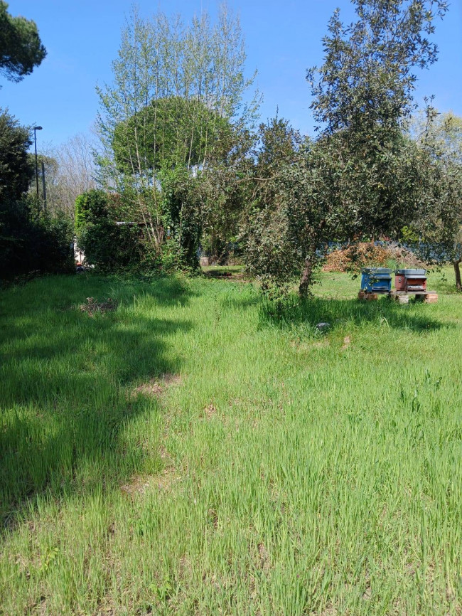 Terreno Agricolo in vendita a Montignoso