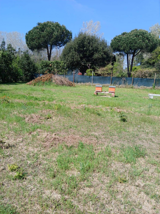 Terreno Agricolo in vendita a Montignoso