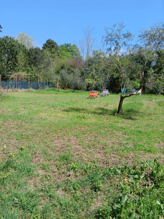 Terreno Agricolo in vendita a Montignoso