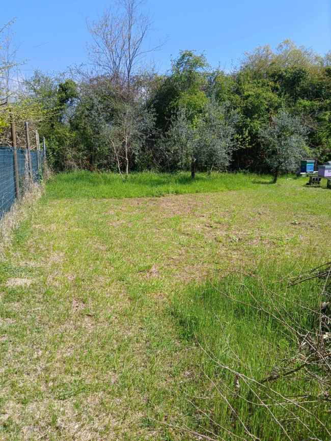 Terreno Agricolo in vendita a Montignoso