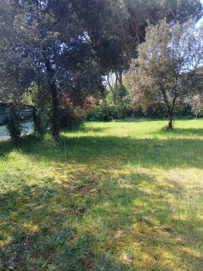 Terreno Agricolo in vendita a Montignoso