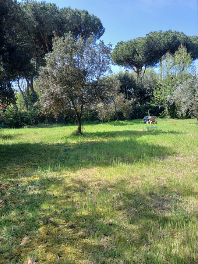 Terreno Agricolo in vendita a Montignoso