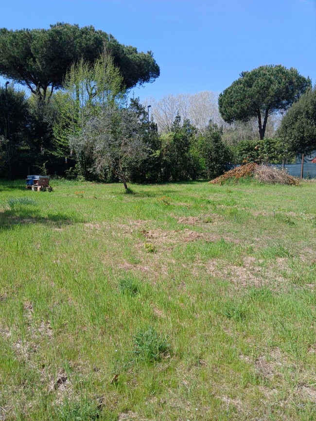 Terreno Agricolo in vendita a Montignoso