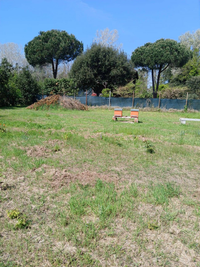 Terreno Agricolo in vendita a Montignoso