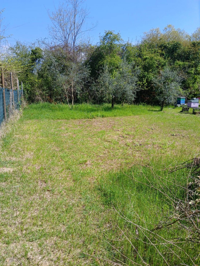 Terreno Agricolo in vendita a Montignoso