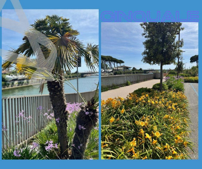 Villa quadrifamiliare in vendita a Montignoso