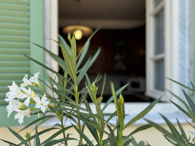 casa indipendente in vendita a Seravezza