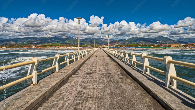 Villa quadrifamiliare in vendita a Montignoso