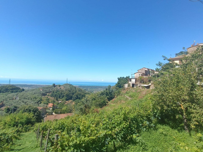 Villa semindipendente in vendita a Pietrasanta