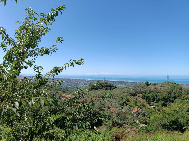 Villa semindipendente in vendita a Pietrasanta