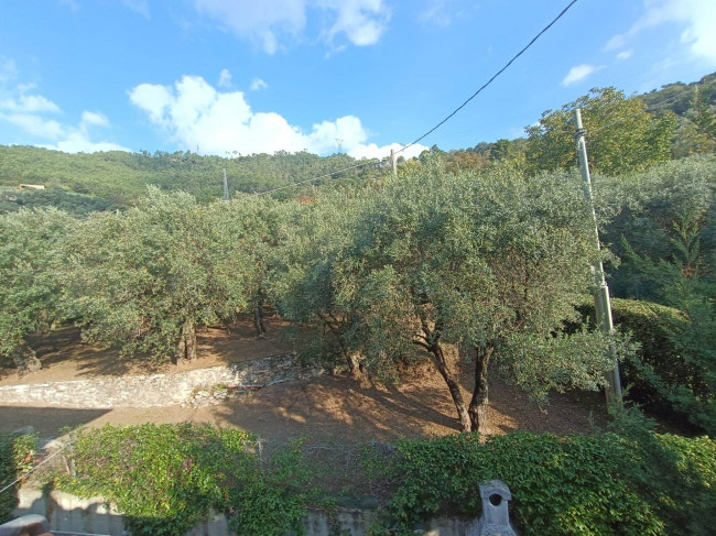 Villette a schiera in vendita a Seravezza