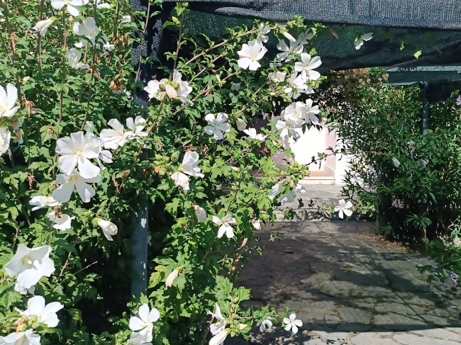 villa indipendente in vendita a Carrara