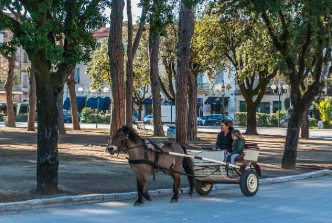 Villa semindipendente in vendita a Pietrasanta