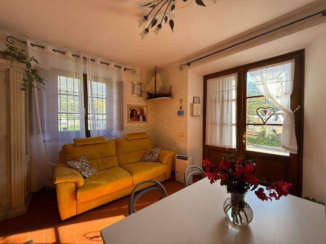 terratetto in vendita a Seravezza