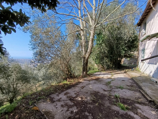 Rustico in vendita a Pietrasanta