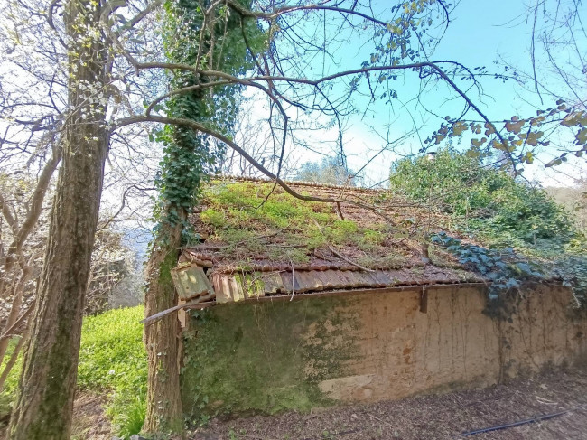 Rustico in vendita a Pietrasanta