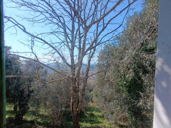 Rustico in vendita a Pietrasanta