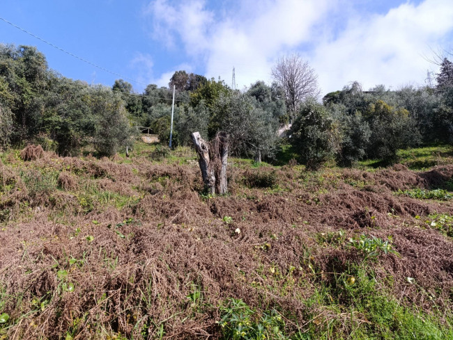Rustico in vendita a Pietrasanta