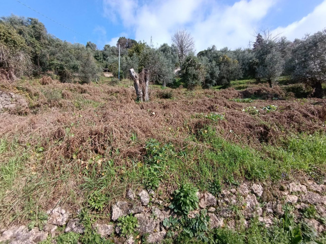 Rustico in vendita a Pietrasanta