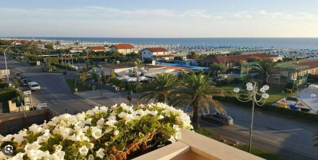 Capannone in vendita a Pietrasanta