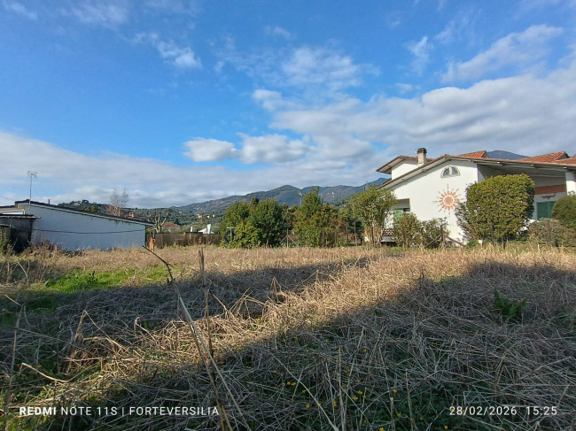villa d'epoca in vendita a Camaiore