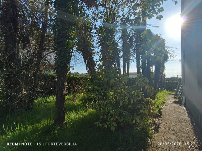 villa d'epoca in vendita a Camaiore