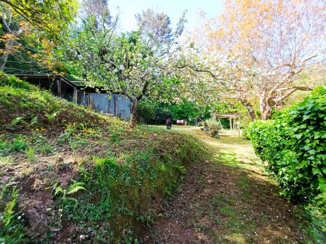 villa indipendente in vendita a Pietrasanta