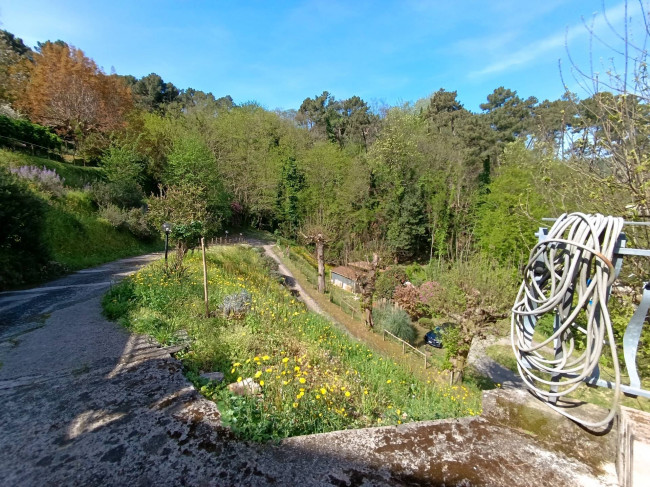 villa indipendente in vendita a Pietrasanta