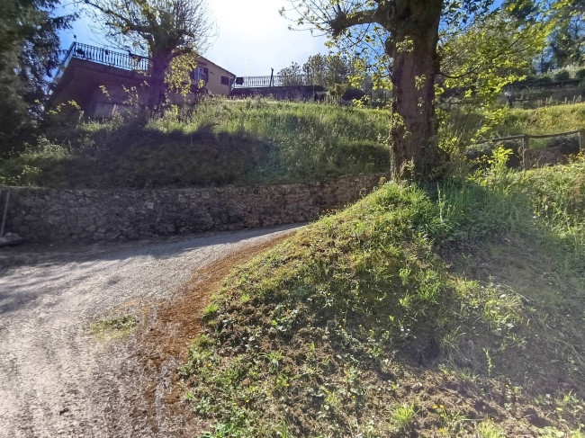 villa indipendente in vendita a Pietrasanta