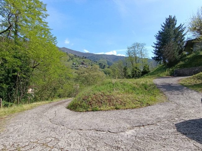 villa indipendente in vendita a Pietrasanta