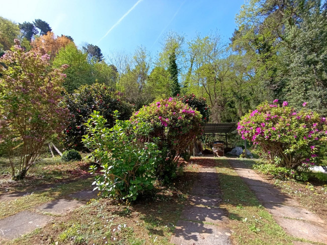 villa indipendente in vendita a Pietrasanta