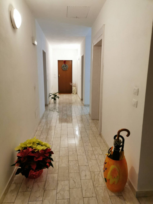 Appartamento in affitto a San Casciano, Cascina (PI)