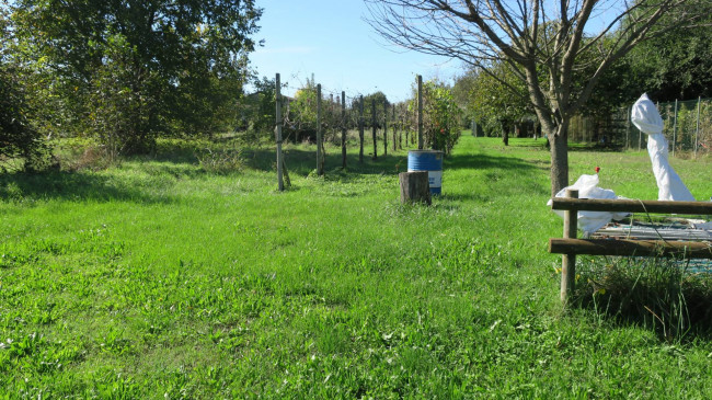 Casa indipendente in vendita a Cassegliano, San Pier D'isonzo (GO)