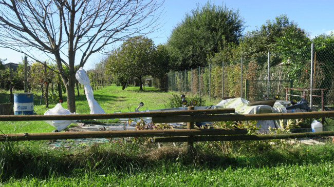 Casa indipendente in vendita a Cassegliano, San Pier D'isonzo (GO)